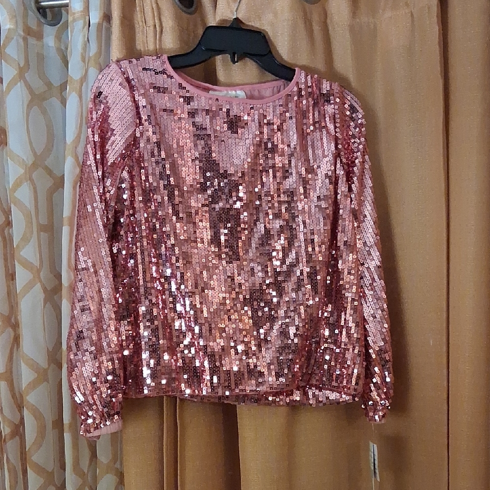 Skye's the Limit Rose Pink Sequin Long-Sleeve Top